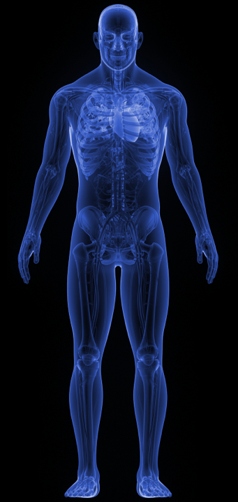 Human body icon outlining an example of the effects of tumor-selective immunotherapies for a person with lung cancer